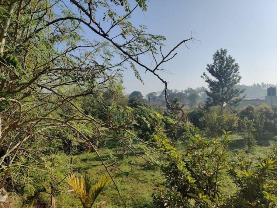 Sattva Farmstay بنغالور المظهر الخارجي الصورة
